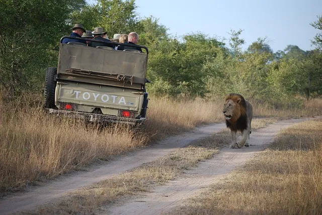 Driving directions to Nature Safari Rajgir.